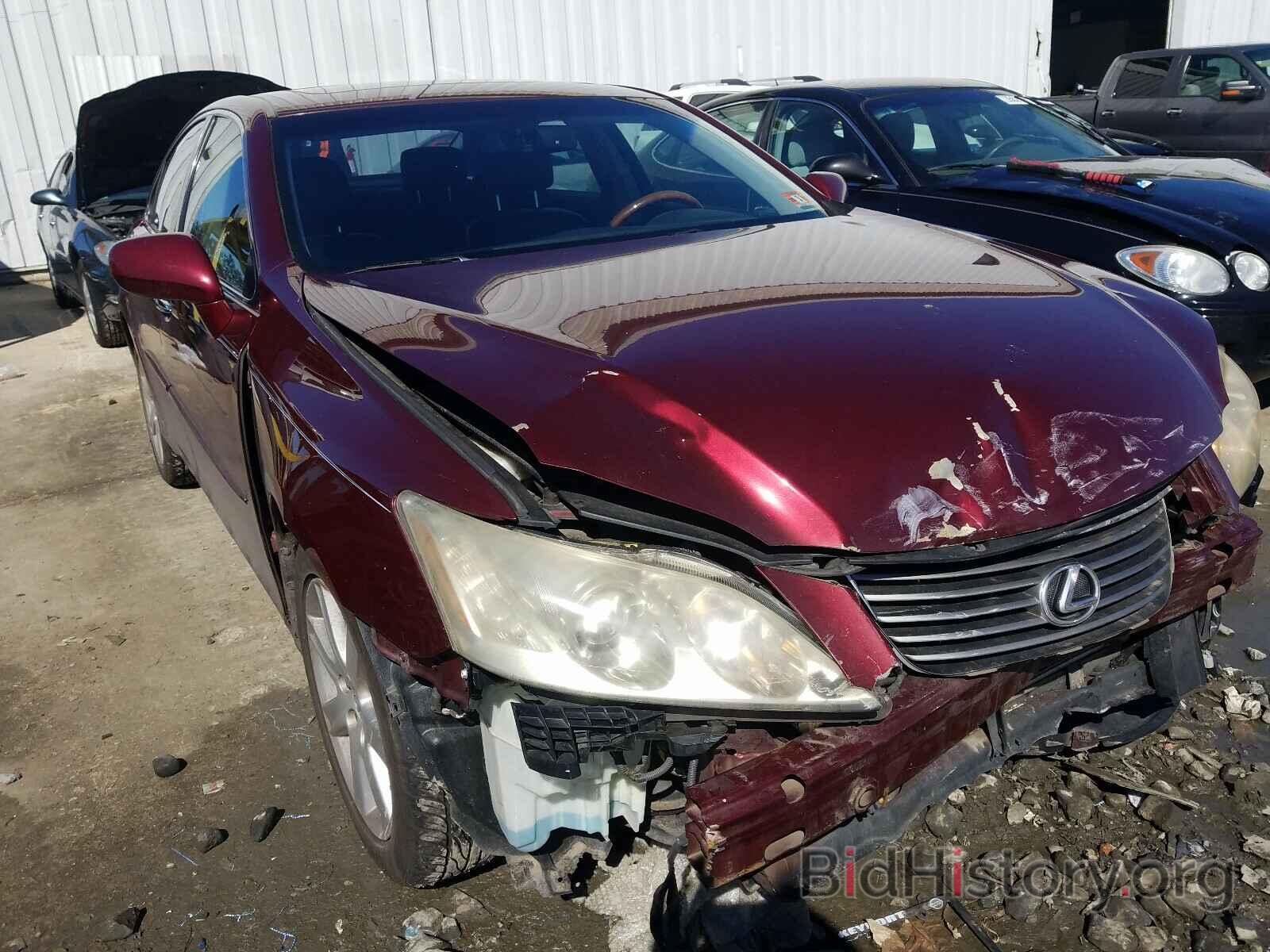 Photo JTHBJ46GX82238809 - LEXUS ES350 2008