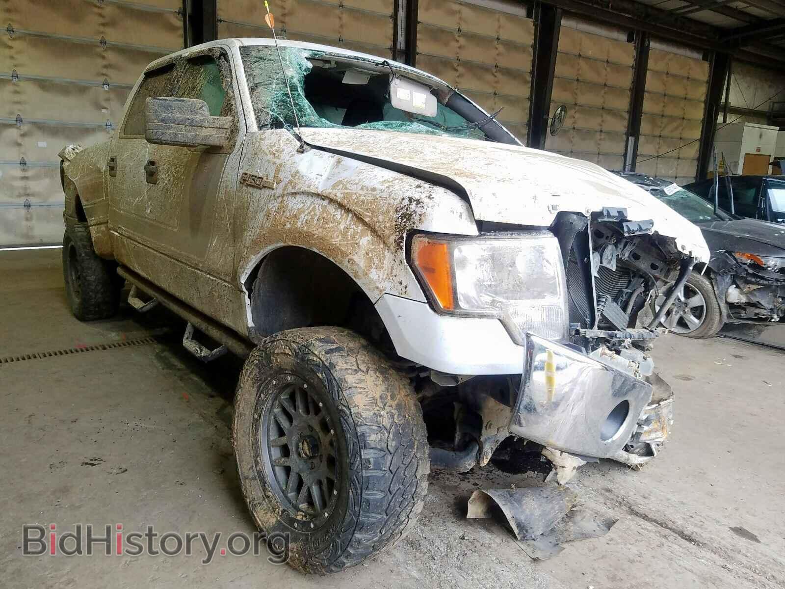 Photo 1FTFW1EV8AFC32508 - FORD F150 2010