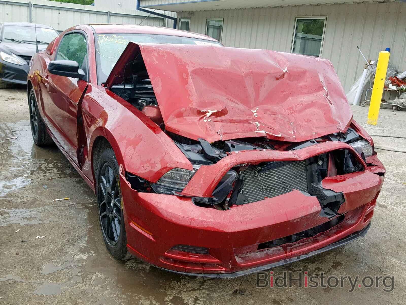 Photo 1ZVBP8AM7E5271262 - FORD MUSTANG 2014