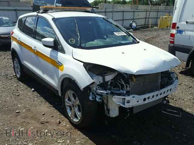 Фотография 1FMCU0GX7DUC94415 - FORD ESCAPE 2013