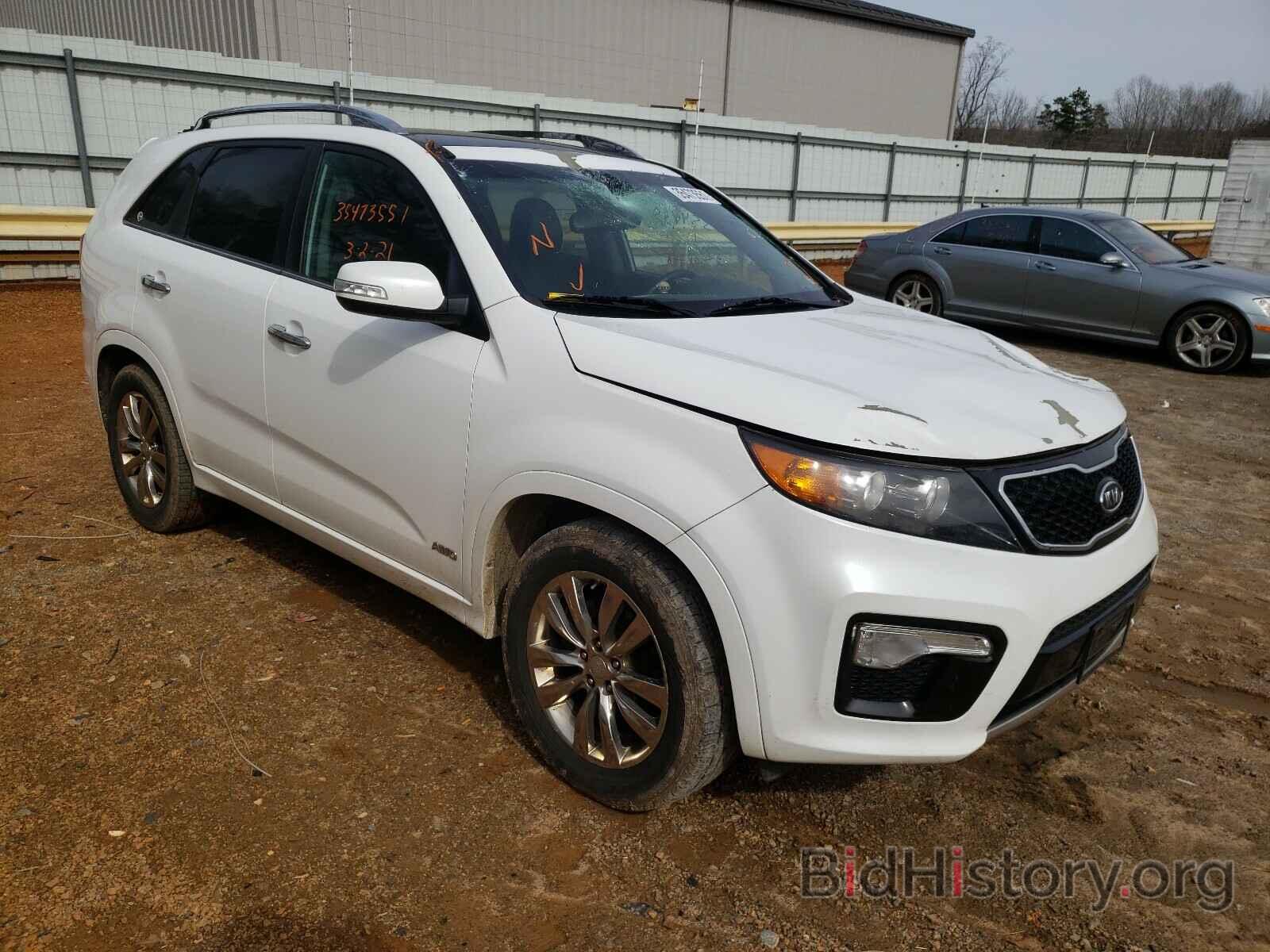 Photo 5XYKWDA26BG146561 - KIA SORENTO 2011