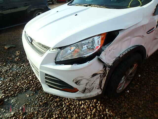 2014 FORD ESCAPE - VIN: 1FMCU0F71EUE00506 - Фото 9