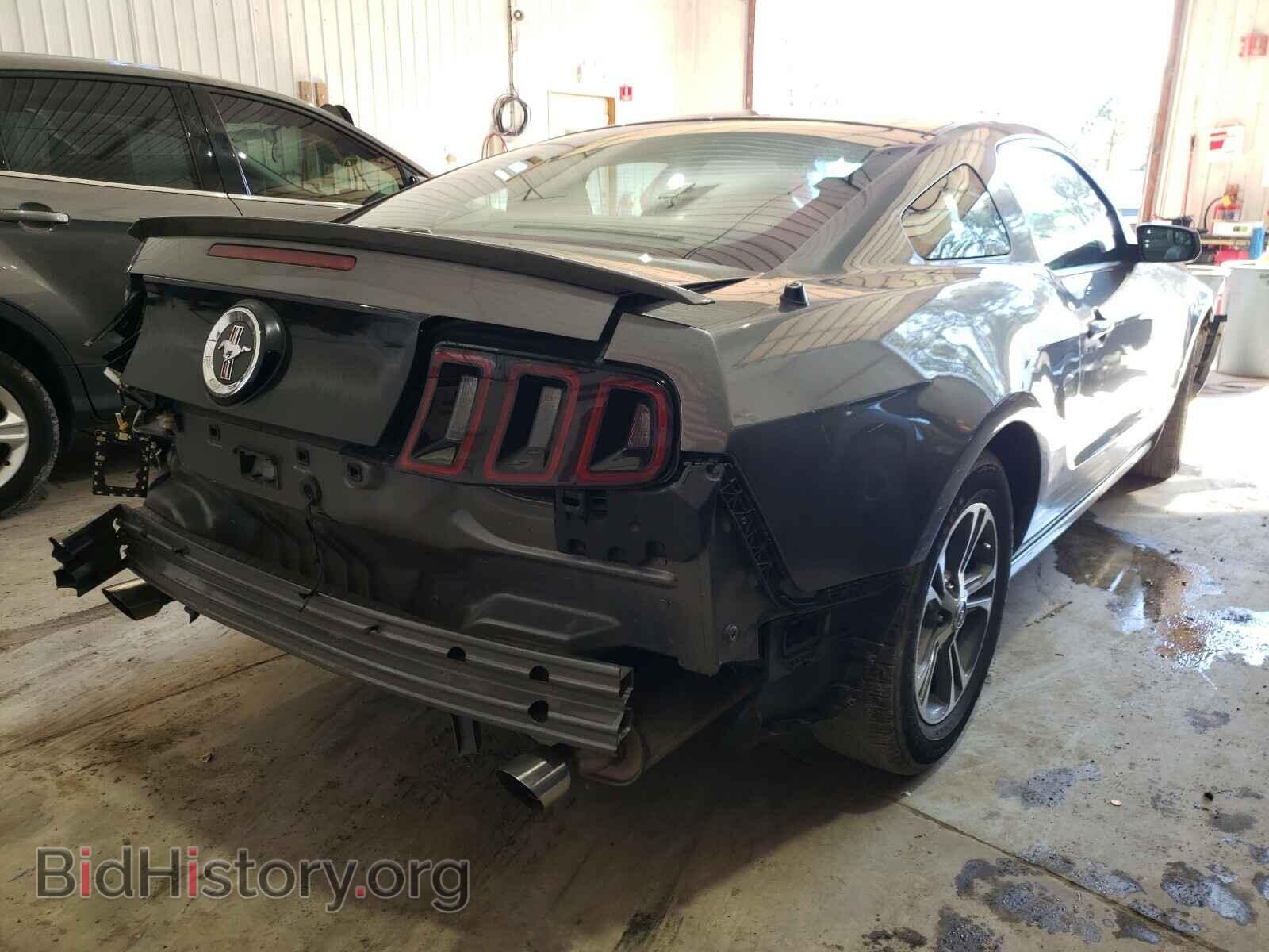 2014 FORD MUSTANG - VIN: 1ZVBP8AM1E5232327 - Фото 4