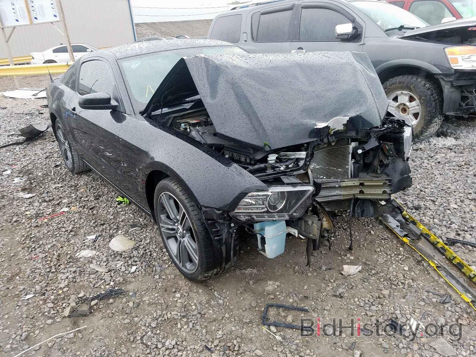 Photo 1ZVBP8AM3E5241899 - FORD MUSTANG 2014