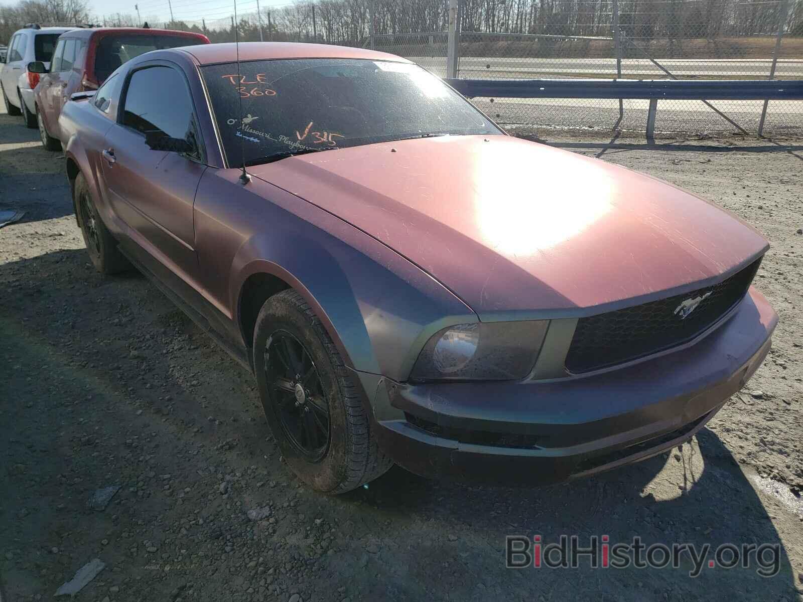 Photo 1ZVHT80N685168905 - FORD MUSTANG 2008