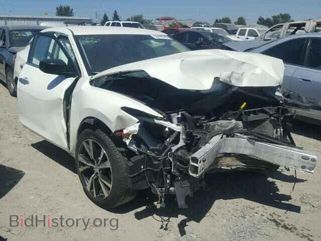 Photo 1N4AA6AP2HC382418 - NISSAN MAXIMA 2017