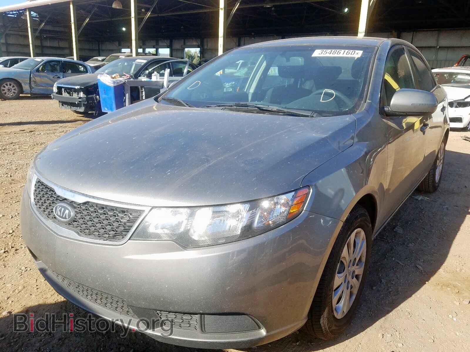 2012 KIA FORTE - VIN: KNAFU4A29C5487144 - Фото 2
