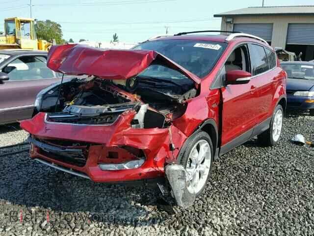 2014 FORD ESCAPE - VIN: 1FMCU9J96EUB48264 - Фото 2