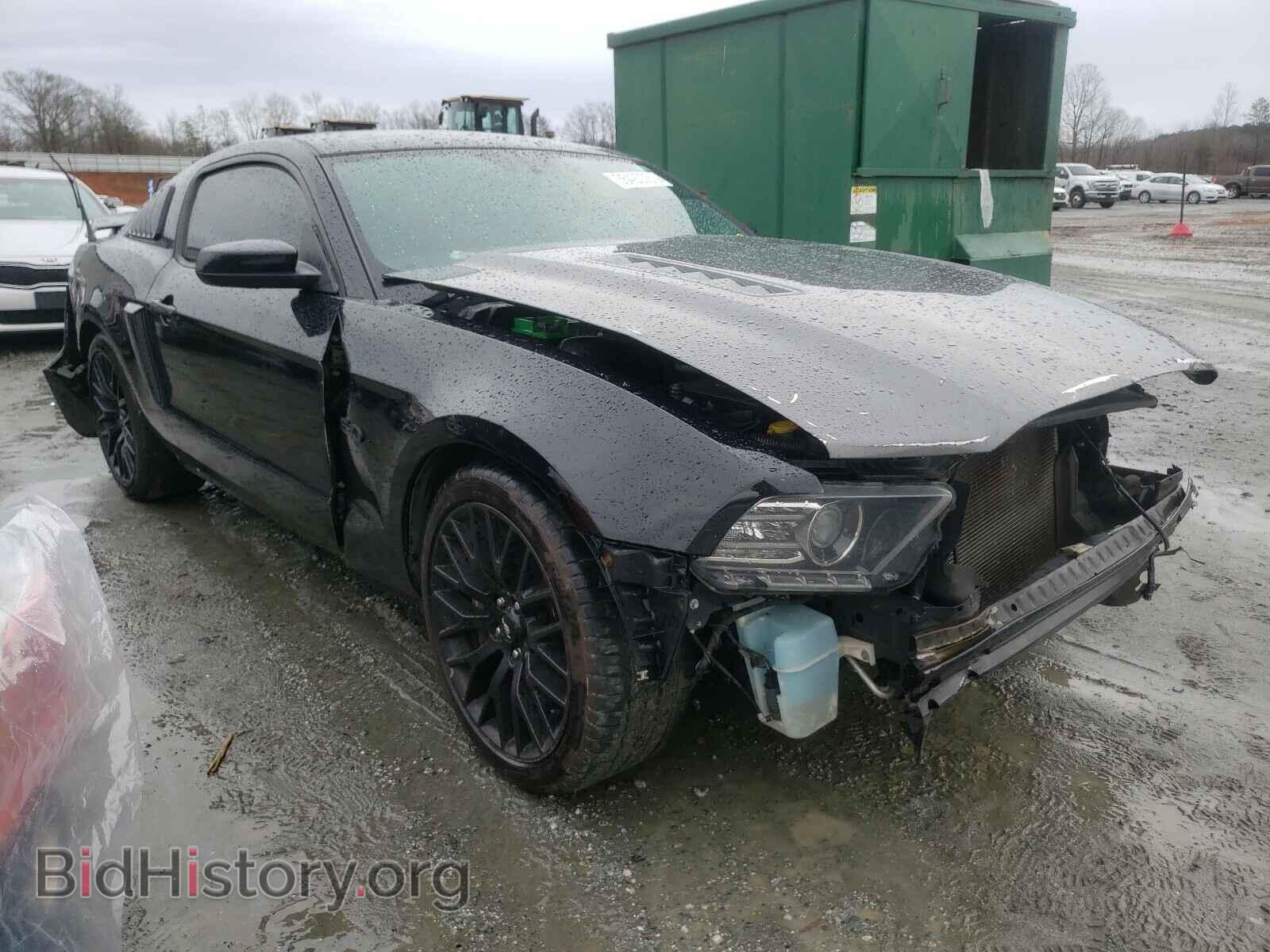 Фотография 1ZVBP8CF3D5263284 - FORD MUSTANG 2013