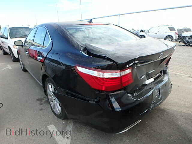 2008 LEXUS LS460 - VIN: JTHBL46F985055692 - Фото 3