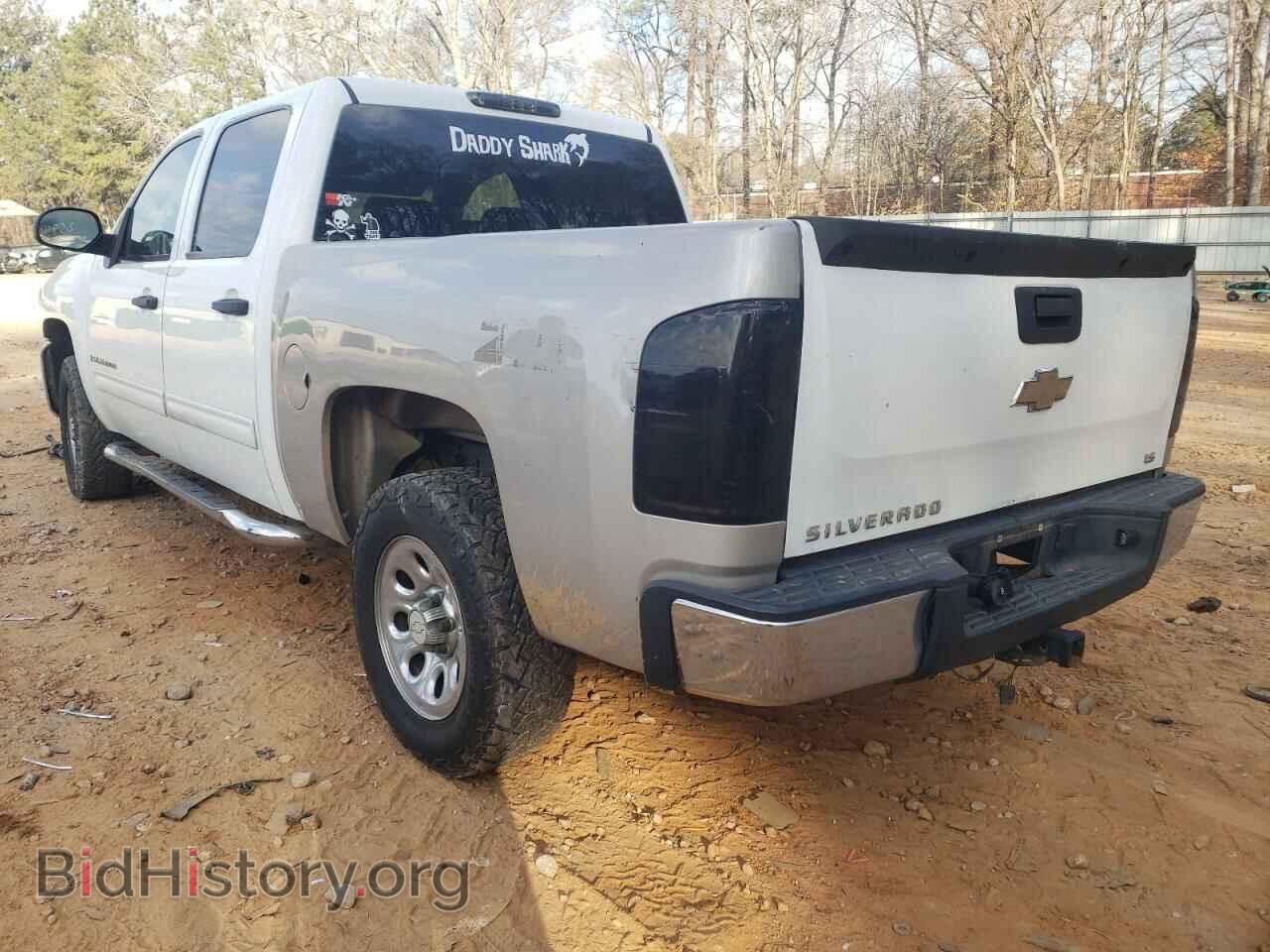 2009 CHEVROLET SILVERADO - VIN: 2GCEK13C791102750 - Фото 3