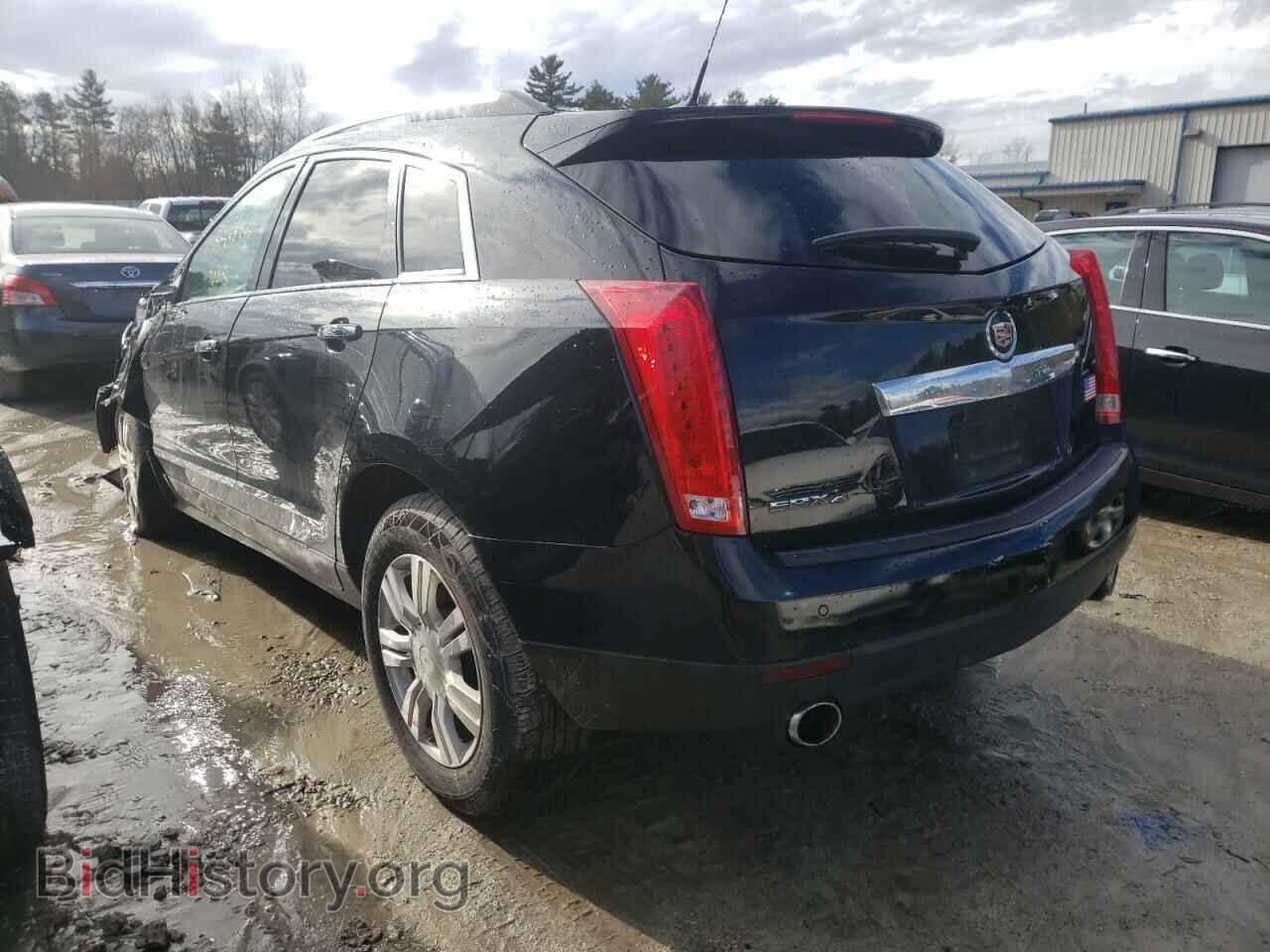 2010 CADILLAC SRX - VIN: 3GYFNDEY6AS508706 - Фото 3