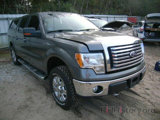 Photo 1FTEW1E83AFD40010 - FORD F150 2010