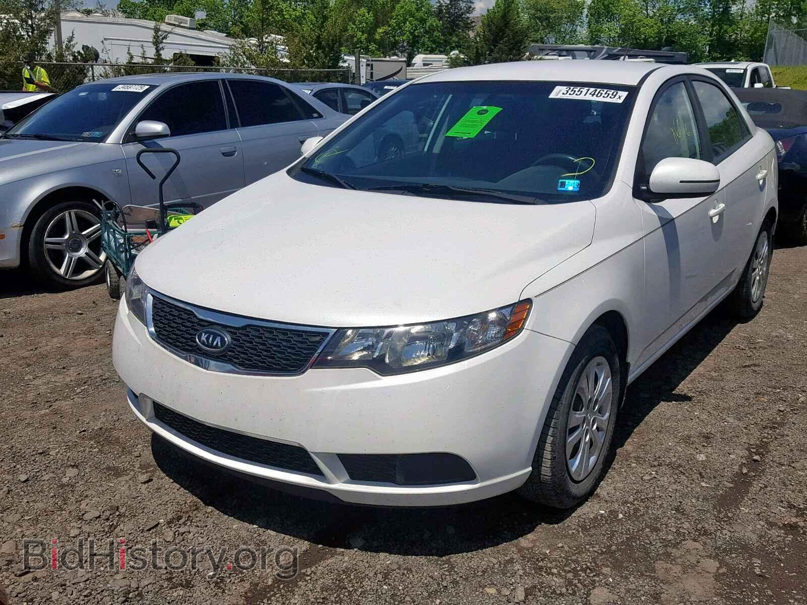2012 KIA FORTE - VIN: KNAFU4A28C5510090 - Фото 2