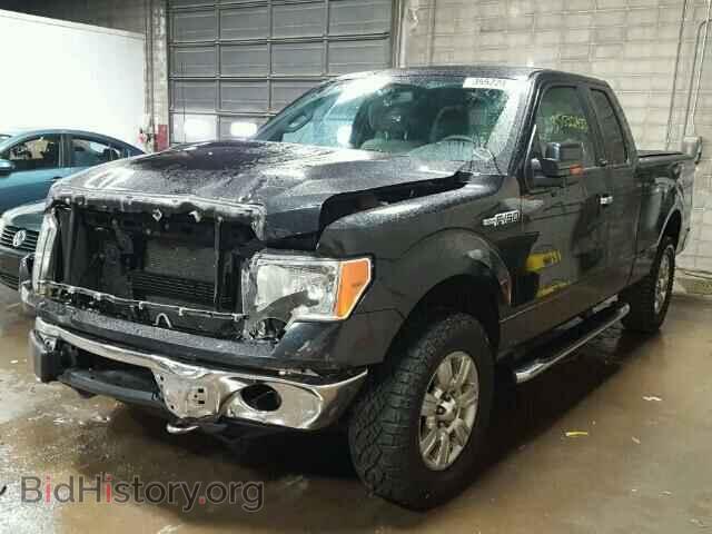 2010 FORD F150 - VIN: 1FTFX1EV7AKB84228 - Фото 2