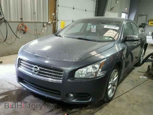 2011 NISSAN MAXIMA - VIN: 1N4AA5AP3BC811065 - Фото 2