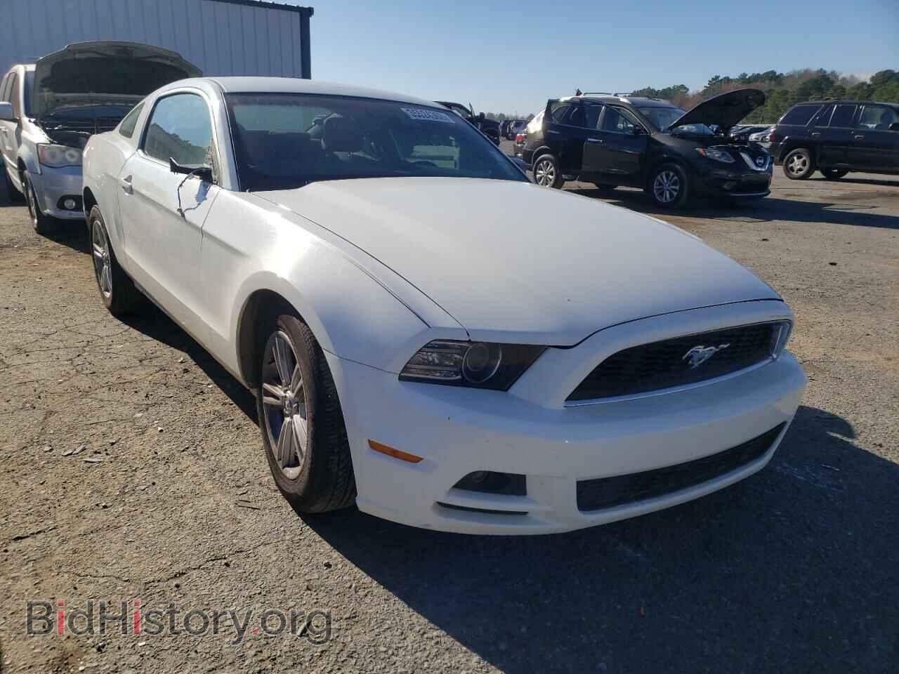 Фотография 1ZVBP8AM4D5256975 - FORD MUSTANG 2013