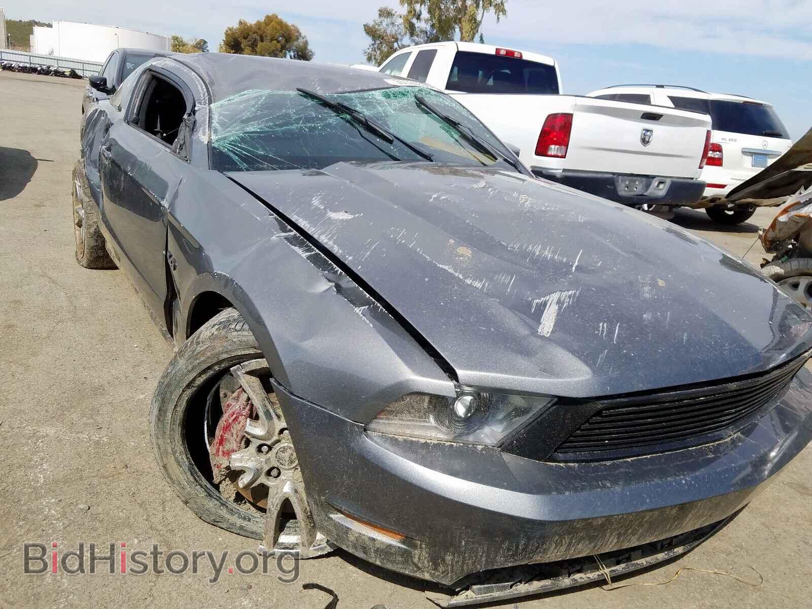 Фотография 1ZVBP8CF4C5276091 - FORD MUSTANG 2012