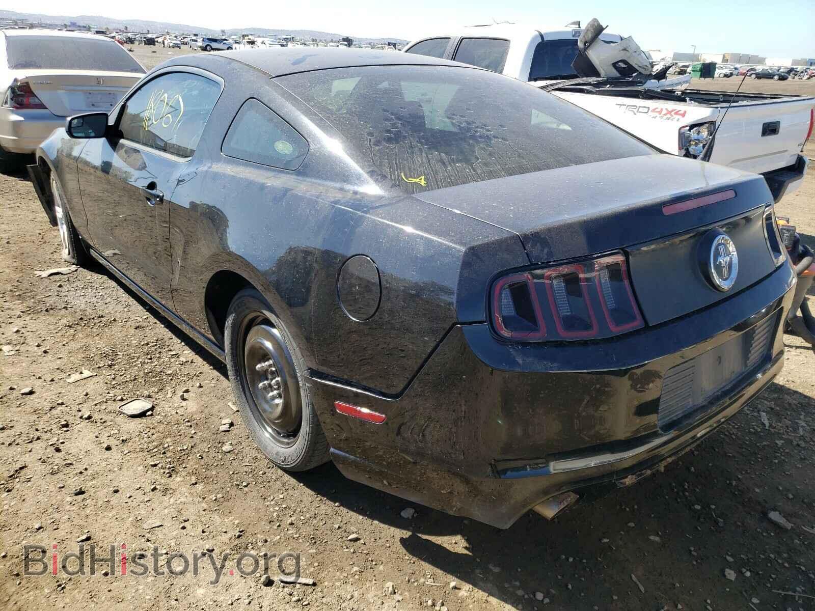 2014 FORD MUSTANG - VIN: 1ZVBP8AM5E5226854 - Фото 3