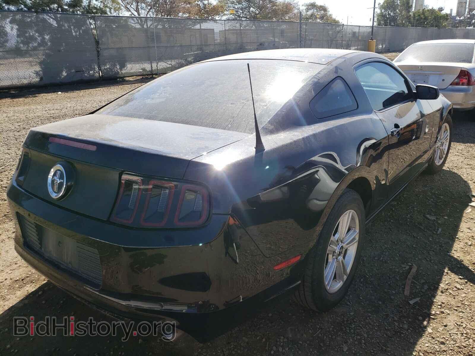 2014 FORD MUSTANG - VIN: 1ZVBP8AM5E5226854 - Фото 4