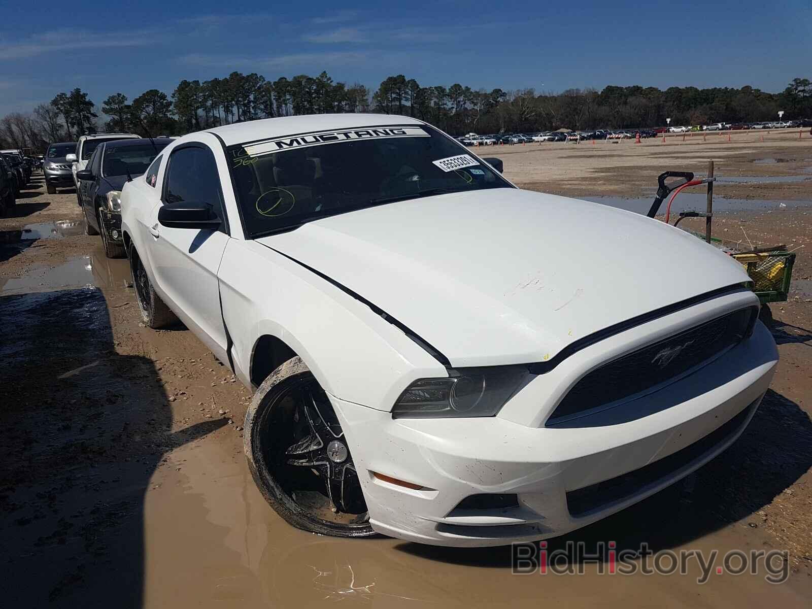 Photo 1ZVBP8AM2E5208716 - FORD MUSTANG 2014