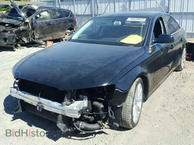 2013 AUDI A4 - VIN: WAUBFAFL8DN035311 - Фото 2