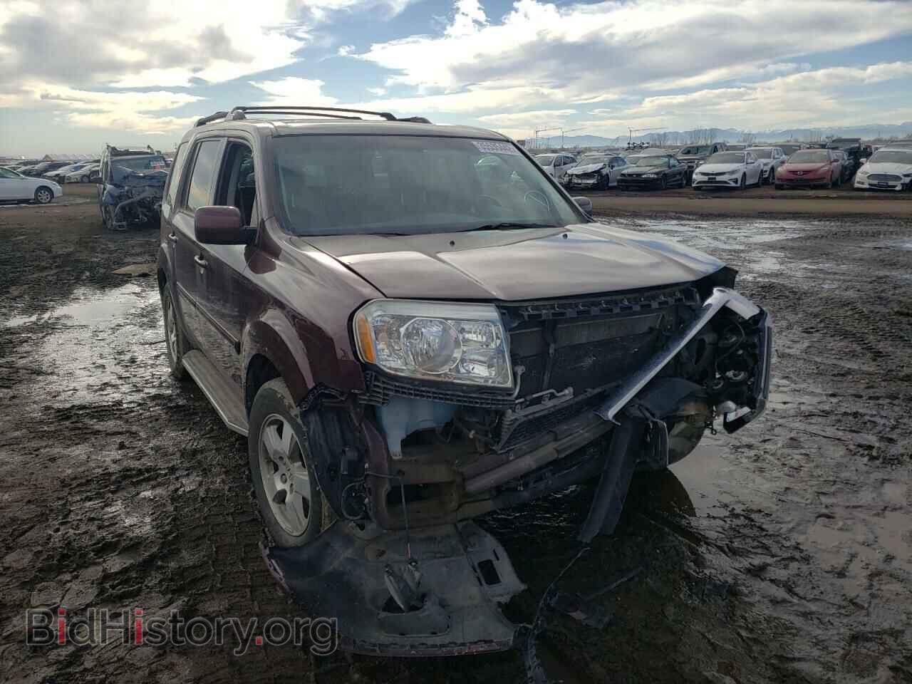 Фотография 5FNYF4H57BB071516 - HONDA PILOT 2011