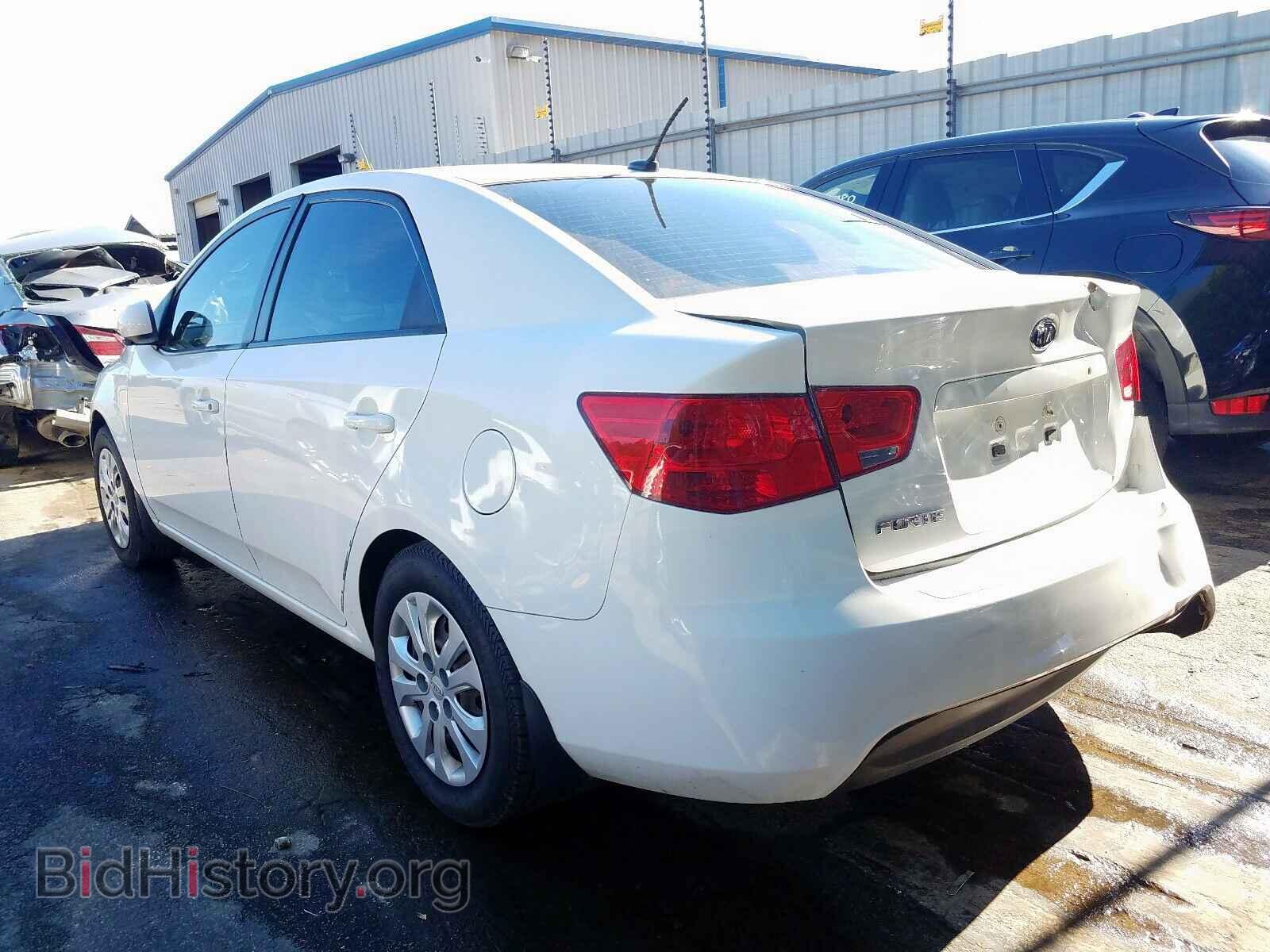 2013 KIA FORTE - VIN: KNAFT4A26D5692876 - Фото 3