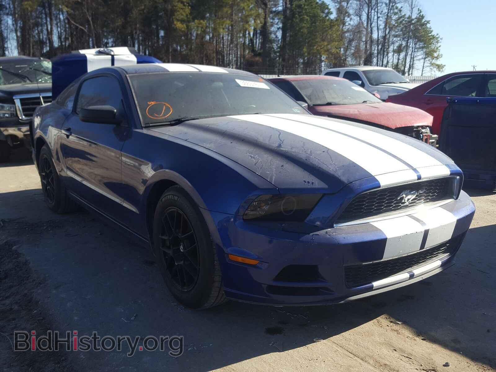 Photo 1ZVBP8AM4E5218535 - FORD MUSTANG 2014
