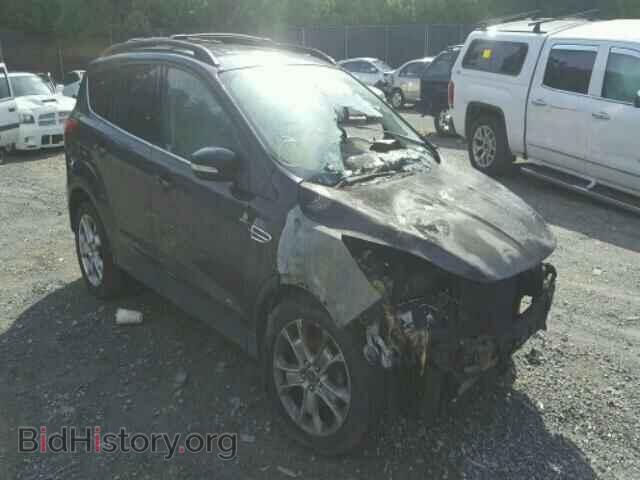 Фотография 1FMCU0HX6DUA23652 - FORD ESCAPE 2013
