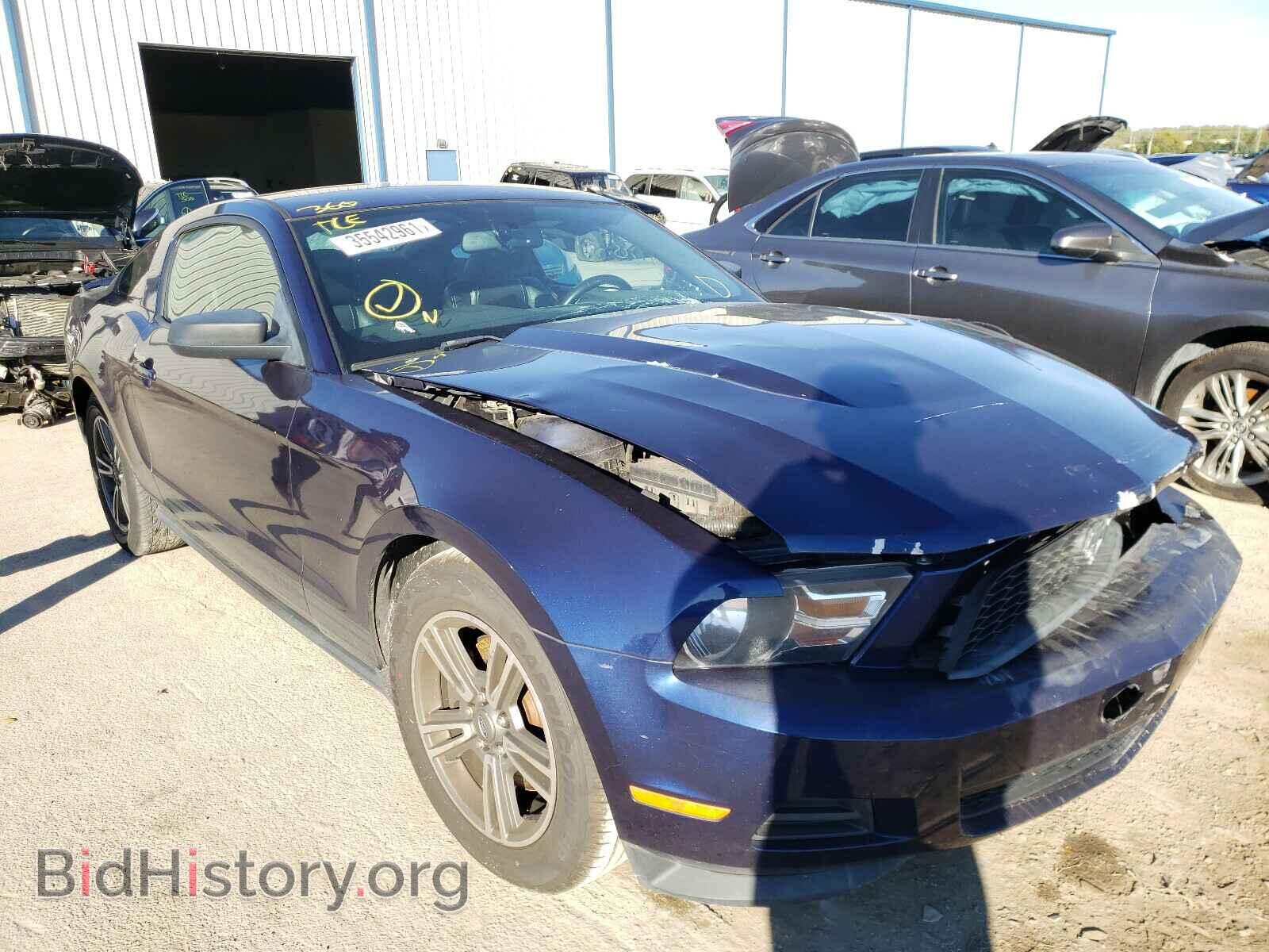 Фотография 1ZVBP8AMXC5207665 - FORD MUSTANG 2012