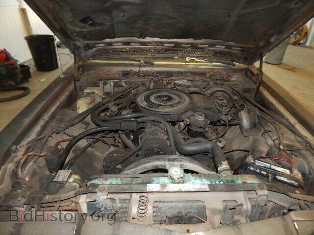 1985 CHRYSLER ALL OTHER - VIN: 1C3BF66P7FX602266 - Фото 7