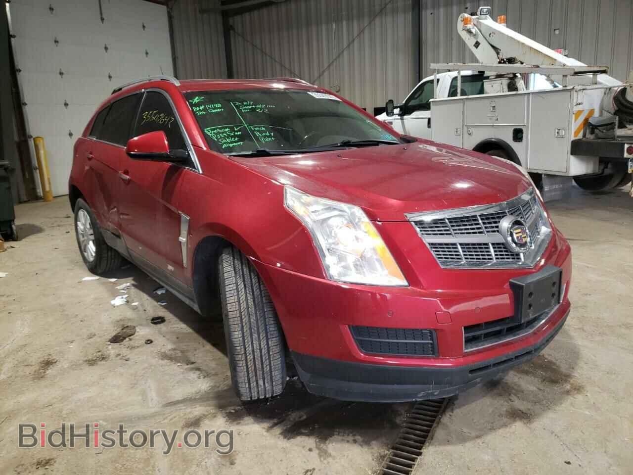 Фотография 3GYFNDEY3AS633095 - CADILLAC SRX 2010
