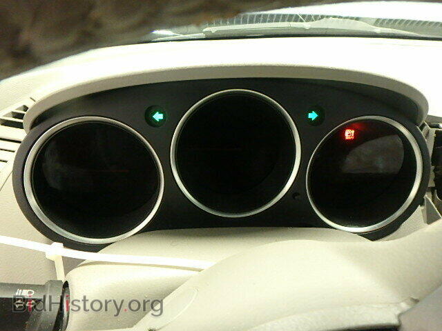 2008 NISSAN MAXIMA - VIN: 1N4BA41E18C829084 - Фото 8