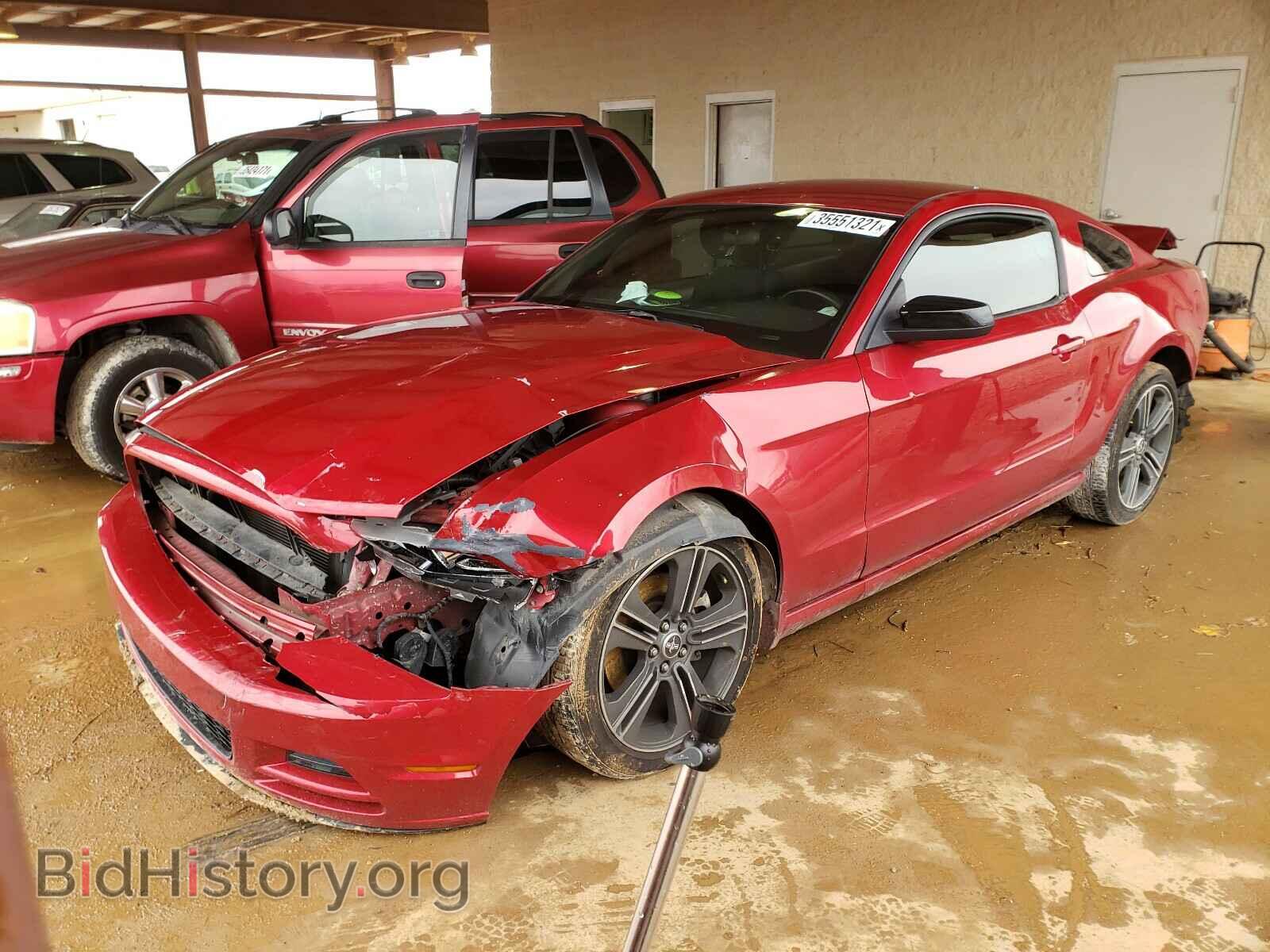 2013 FORD MUSTANG - VIN: 1ZVBP8AM2D5208701 - Фото 2