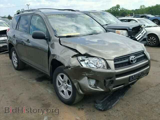 Фотография 2T3BF4DV5BW117723 - TOYOTA RAV4 2011