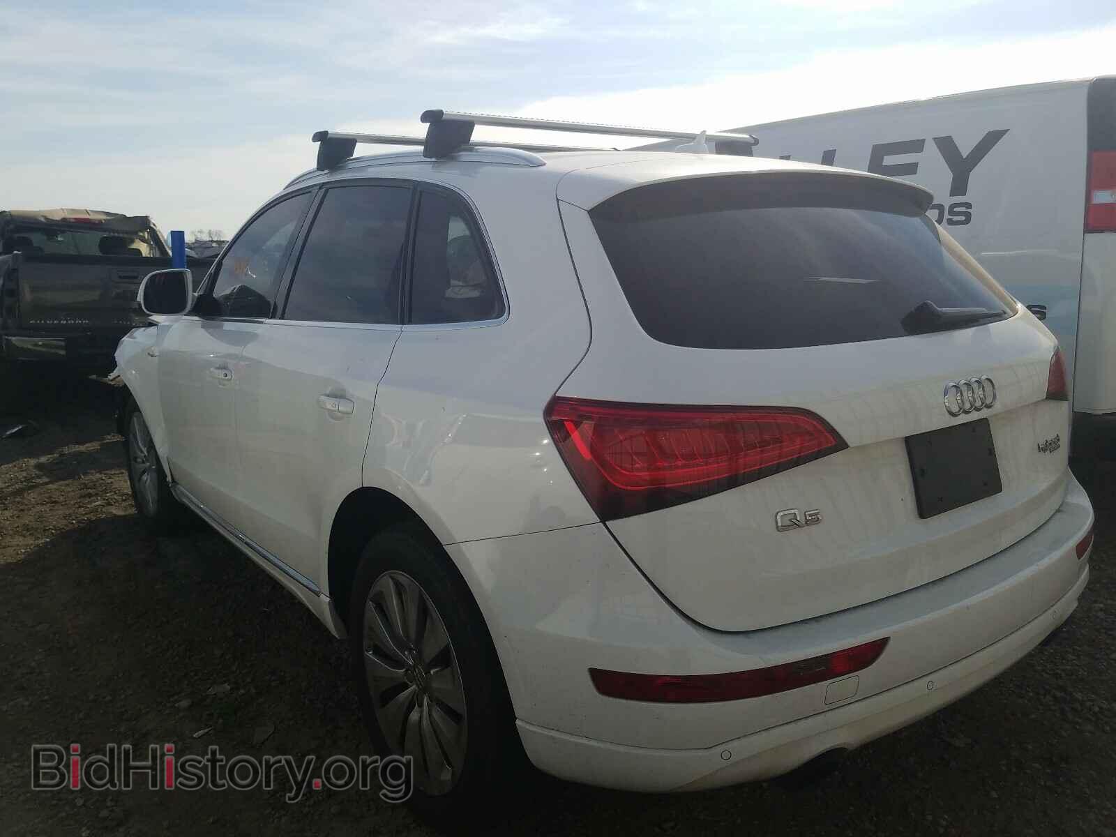 2013 AUDI Q5 - VIN: WA1C8AFP7DA002564 - Фото 3