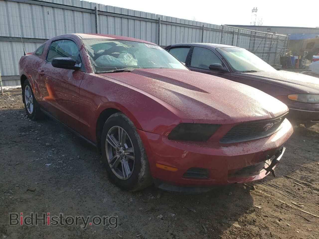 Фотография 1ZVBP8AM3C5244816 - FORD MUSTANG 2012