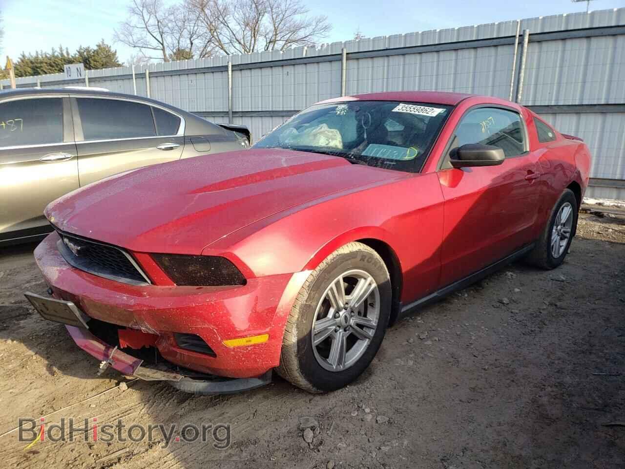 2012 FORD MUSTANG - VIN: 1ZVBP8AM3C5244816 - Фото 2