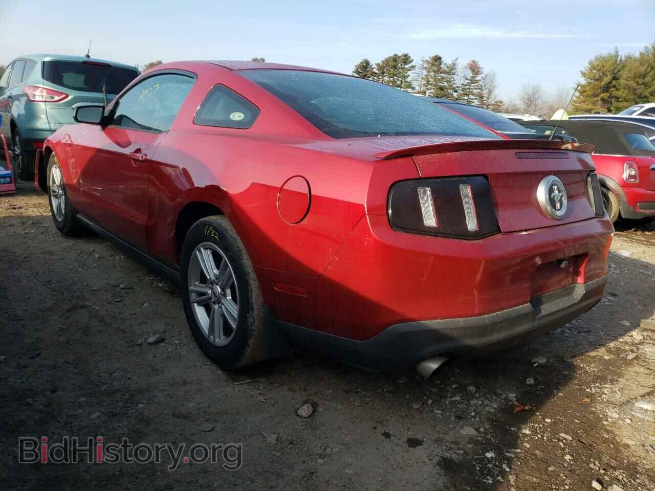 2012 FORD MUSTANG - VIN: 1ZVBP8AM3C5244816 - Фото 3