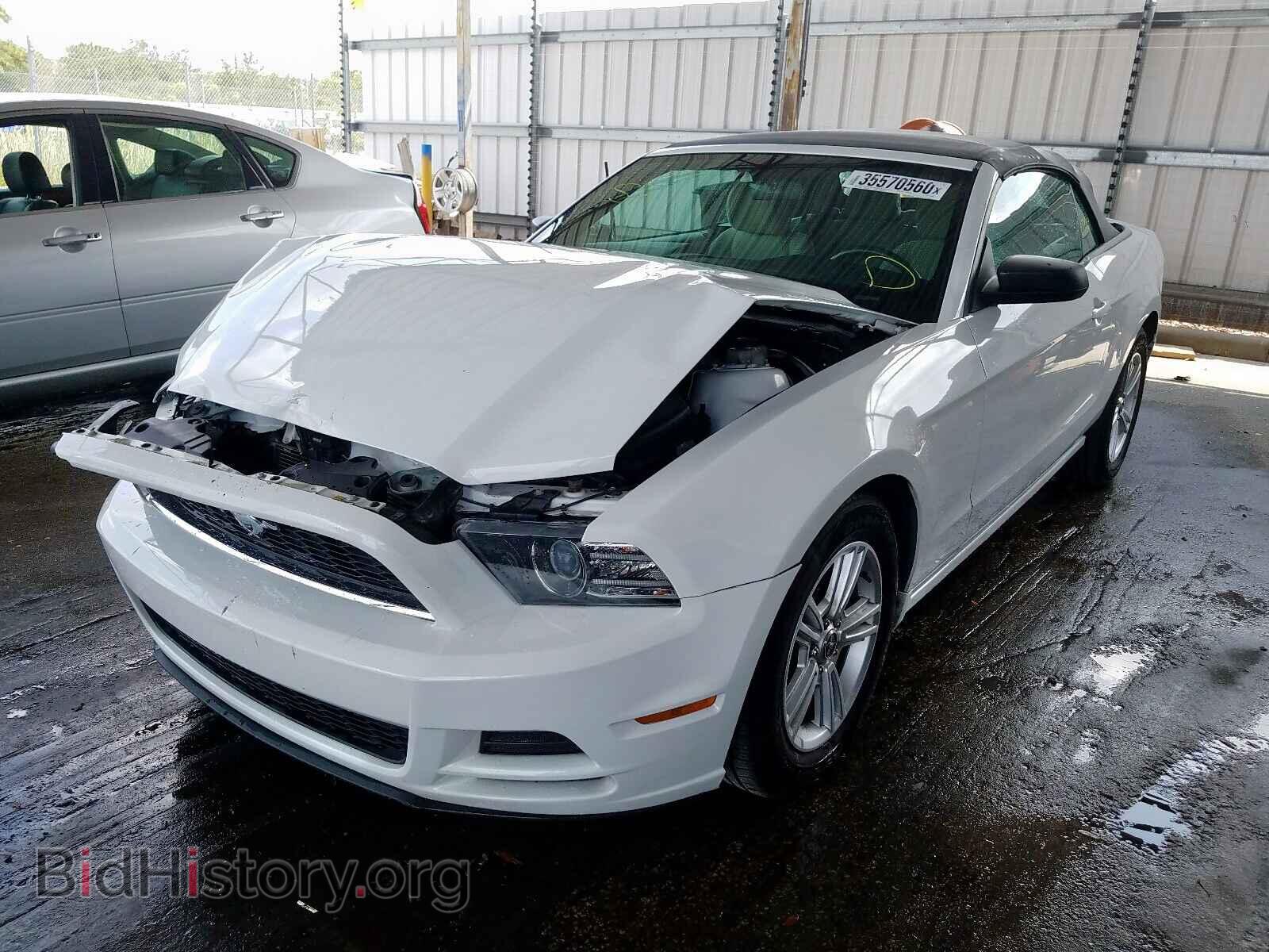 2014 FORD MUSTANG - VIN: 1ZVBP8EM4E5299806 - Фото 2