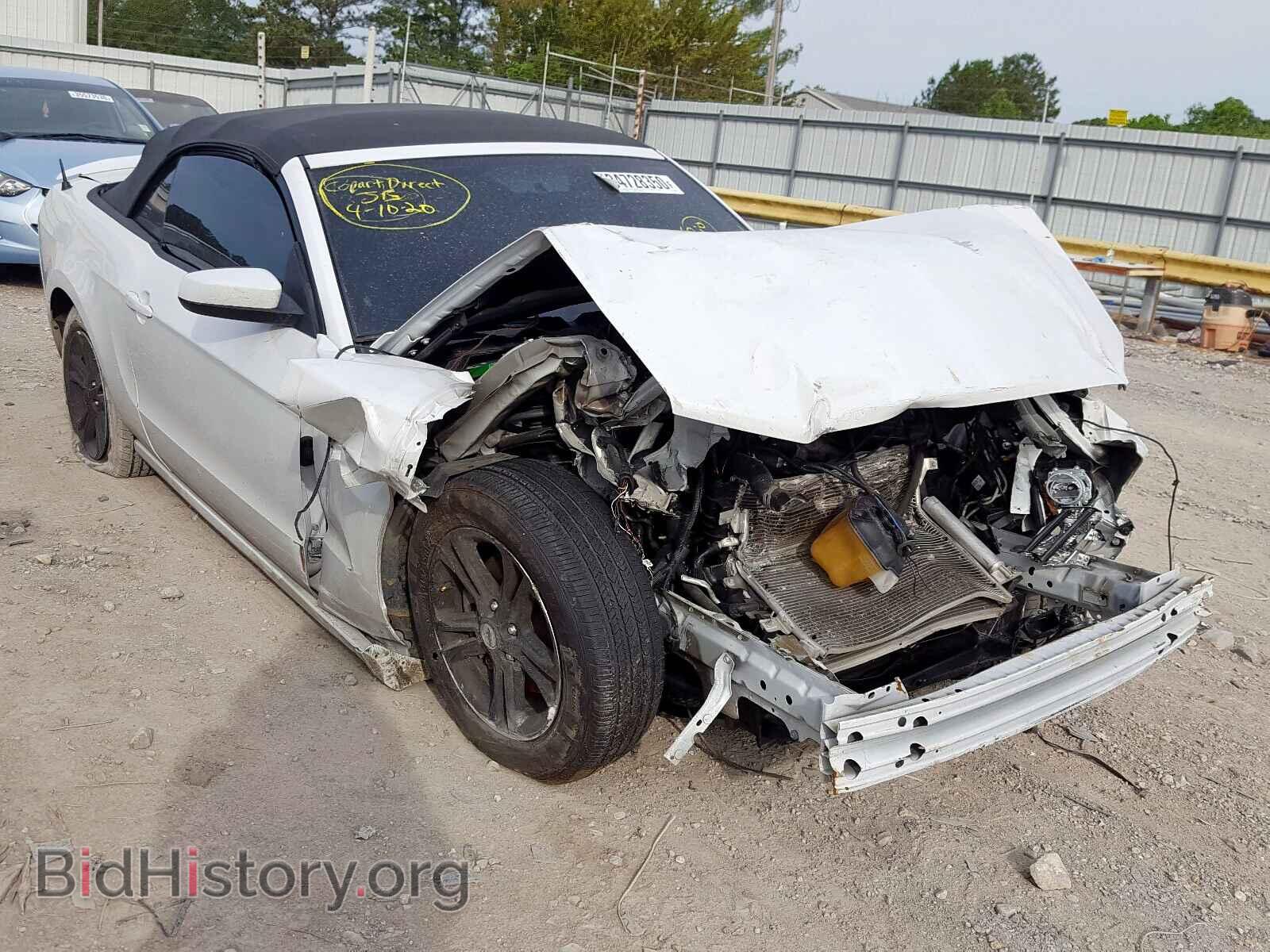 Photo 1ZVBP8EM5E5208249 - FORD MUSTANG 2014