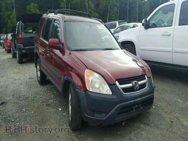 Фотография SHSRD78893U160164 - HONDA CRV 2003