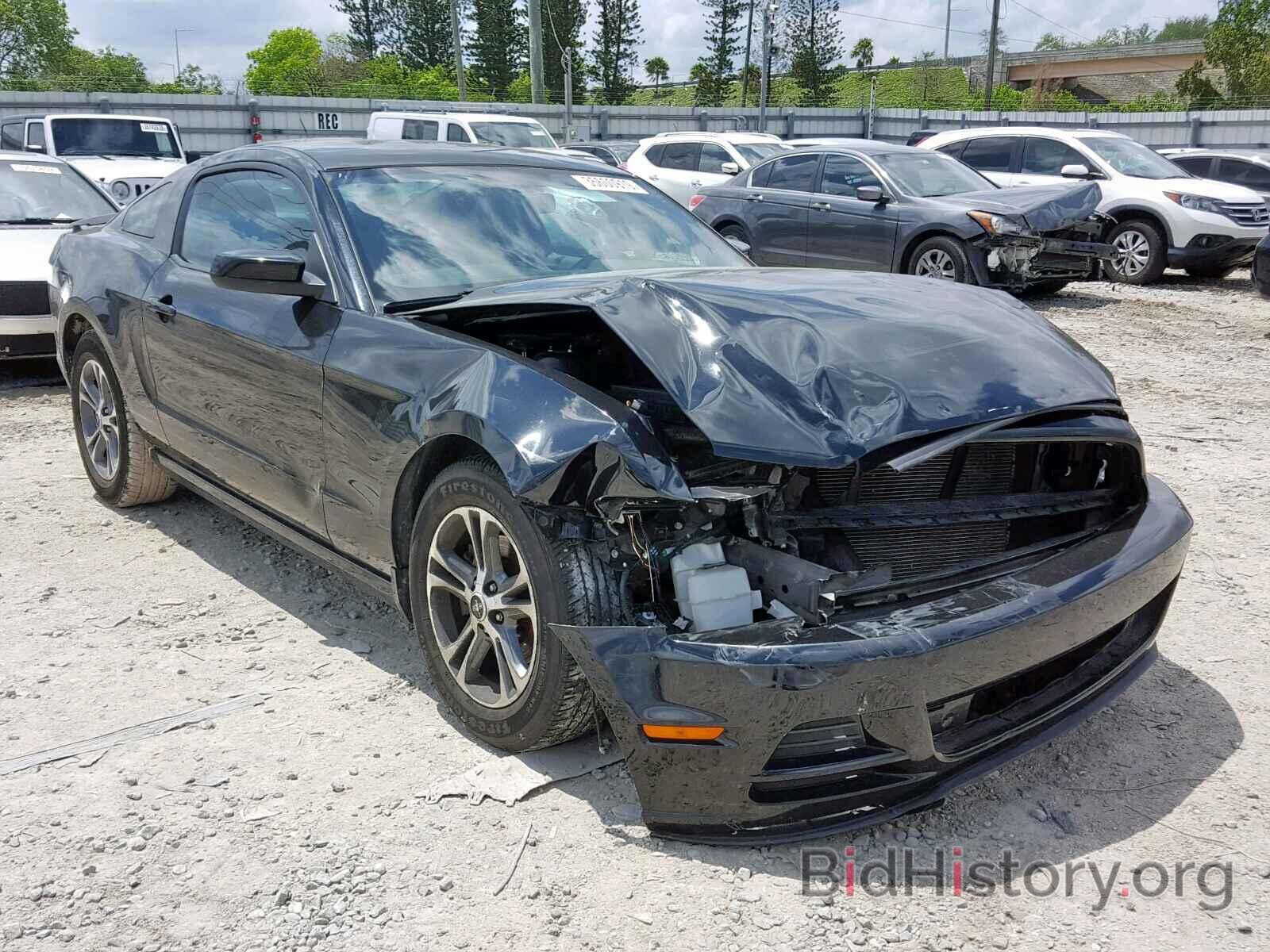 Photo 1ZVBP8AM0E5297394 - FORD MUSTANG 2014