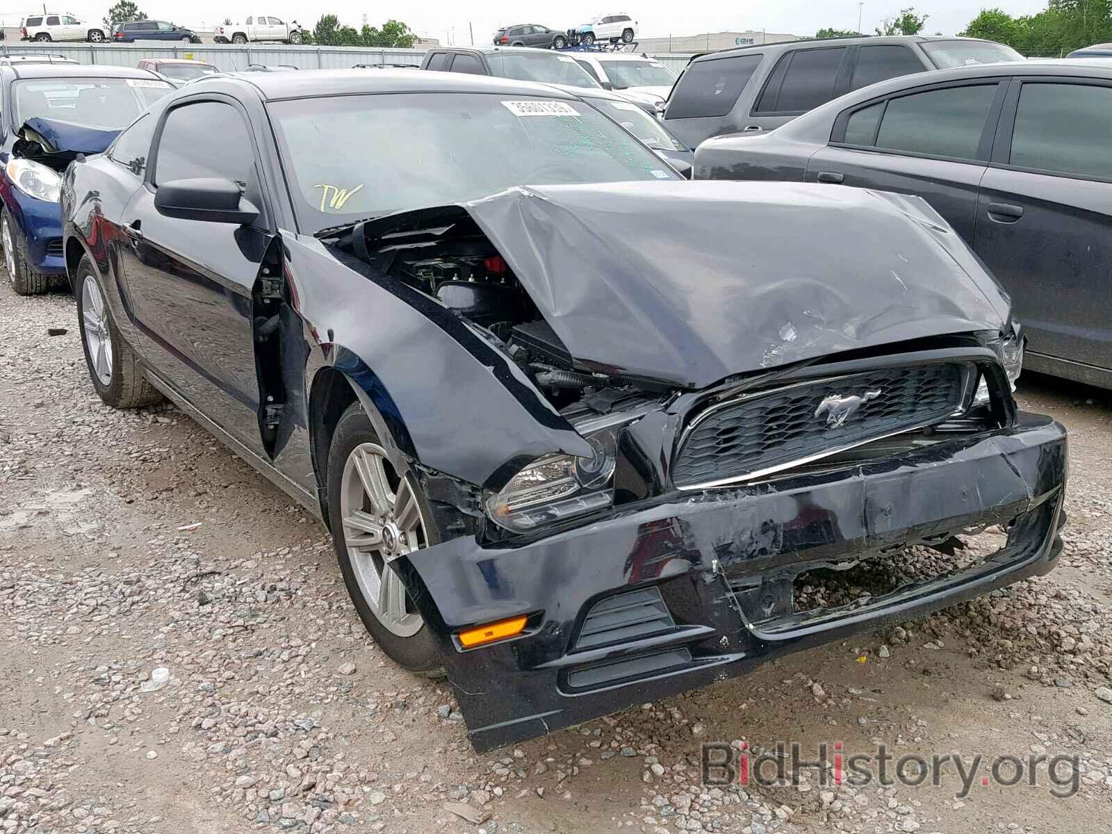 Photo 1ZVBP8AM7E5287882 - FORD MUSTANG 2014