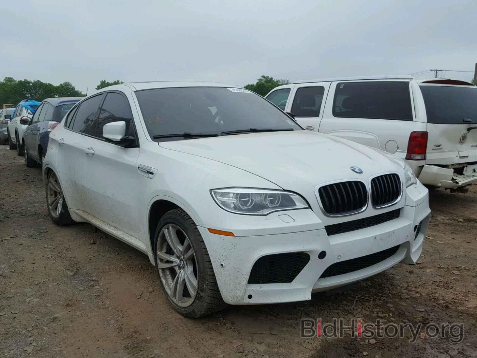 Photo 5YMGZ0C51E0C40445 - BMW X6 2014