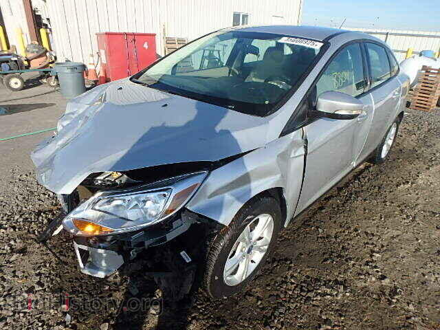 2013 FORD FOCUS - VIN: 1FADP3F2XDL292533 - Фото 2