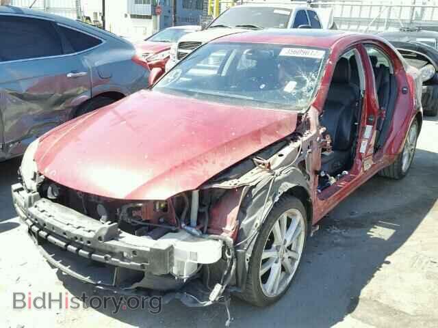 2007 LEXUS IS250 - VIN: JTHBK262275045685 - Фото 2