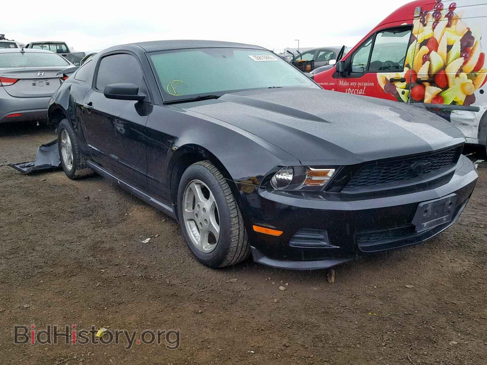 Фотография 1ZVBP8AM4C5283818 - FORD MUSTANG 2012