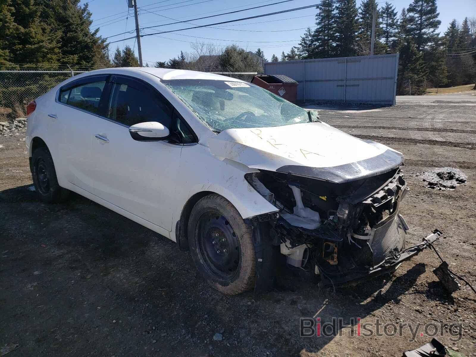 Photo KNAFX4A83E5247084 - KIA FORTE 2014